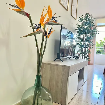 Piso Céntrico Corazón De Aridane *